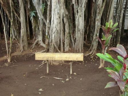 A Day in Hilo Hawaii